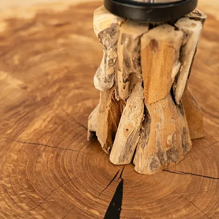 シャレー Pri Rybniku Strohm