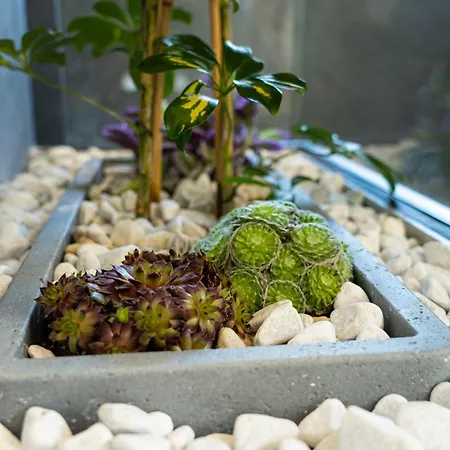 Pri Rybniku Strohm * Kopanice