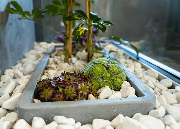 Pri Rybníku Strohm * Kopanice