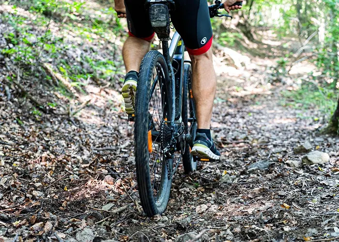 Pri Rybníku Strohm Kopanice